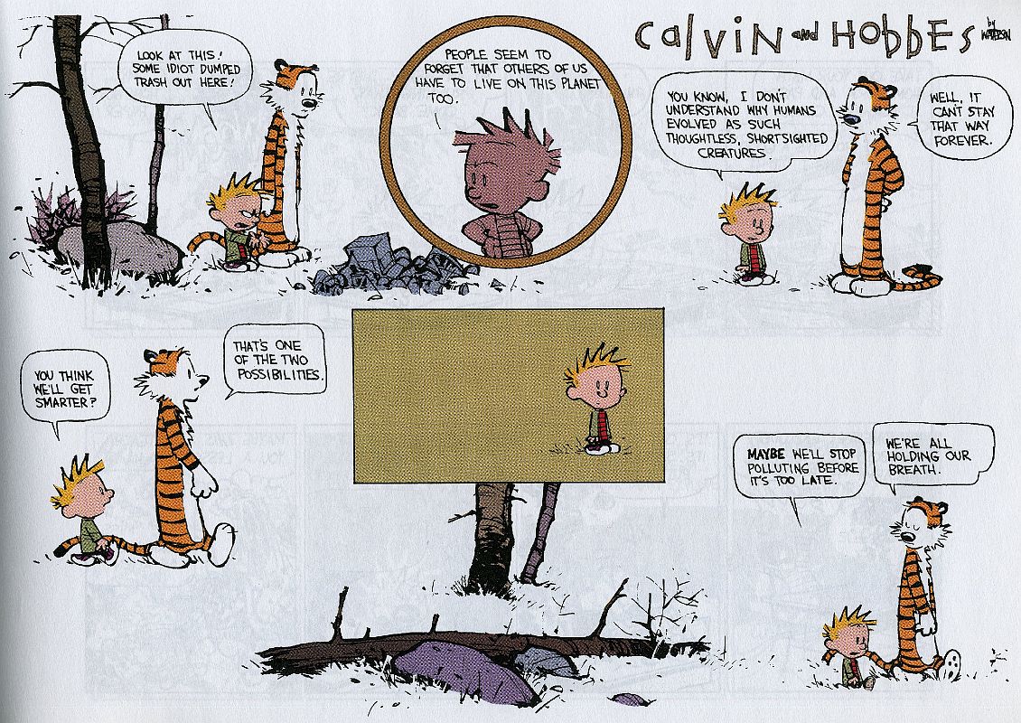 16 Calvin And Hobbes - Pollution 